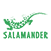 Логотип Salamander - брендований зображенням Логотип Salamander